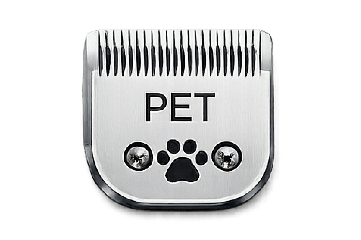 Lâmina PET